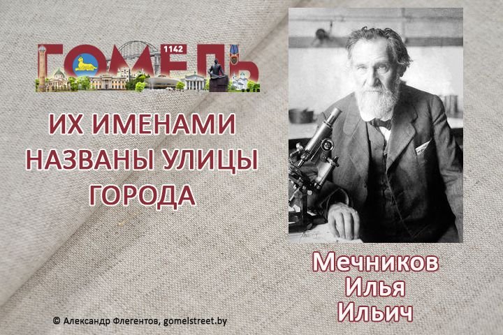 Мечников, Илья Ильич